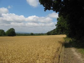 View from Tilburstow Hill